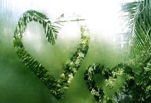 欧博官网：[高尔夫]蓝湾大师赛竹田丽央大赢6杆 李淑瑛T5王馨迎T8.