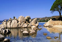 欧博官网:马竞提诉求利好阿森纳?姆巴佩小熊遭禁赛可能小.